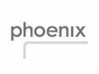 phoenix tv logo